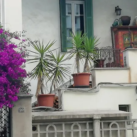 Cecile * Ajaccio (Corsica)