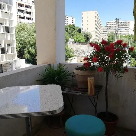 Cecile Ajaccio (Corsica)